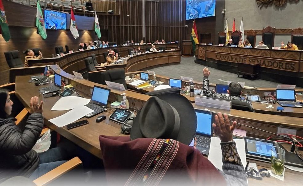 Cámara de Senadores aprueba en grande y detalle ley para la ...